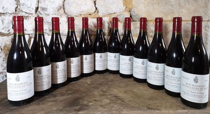 12 bottles HAUTES Côtes de NUITS 