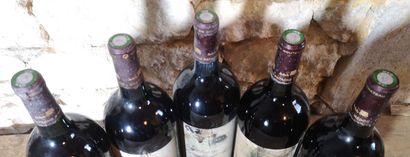 5 magnums Château PATACHE D'AUX - Médoc 2000...