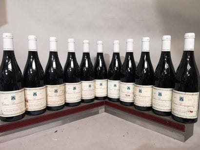 11 bouteilles COTEAUX BOURGUIGNONS - P. GELIN...