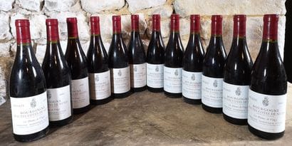 12 bottles HAUTES Côtes de NUITS 