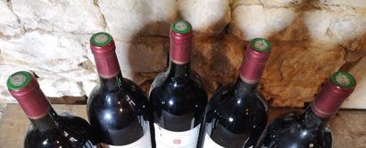5 magnums Château CHICANE - Graves 1998