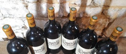 6 magnums Château OLIVIER - Pessac Léognan...