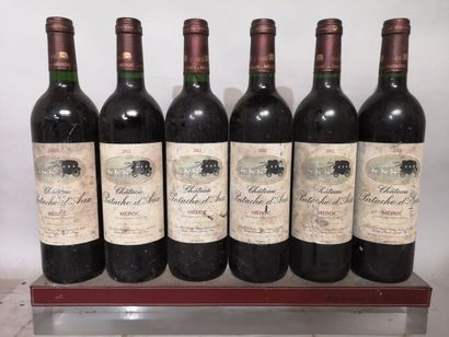 6 bottles Château PATACHE D'AUX - Médoc 2002...