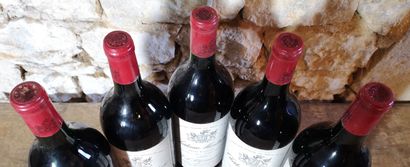 5 magnums Château MONTROSE - 2ème Gcc Saint...