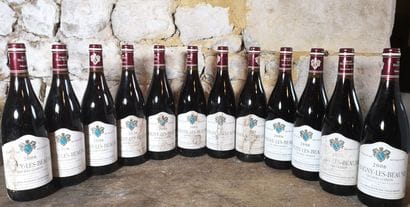 12 bottles SAVIGNY LES BEAUNES 
