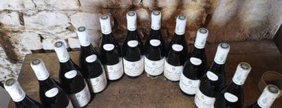 12 bottles PERNAND VERGELESSES 1er Cru 