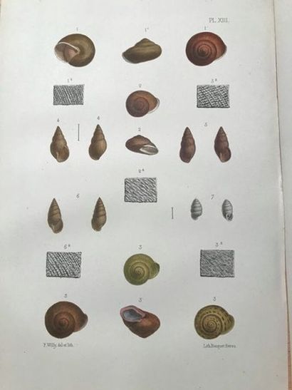 [CONCHYLIOLOGIE] Journal of Conchyliology....