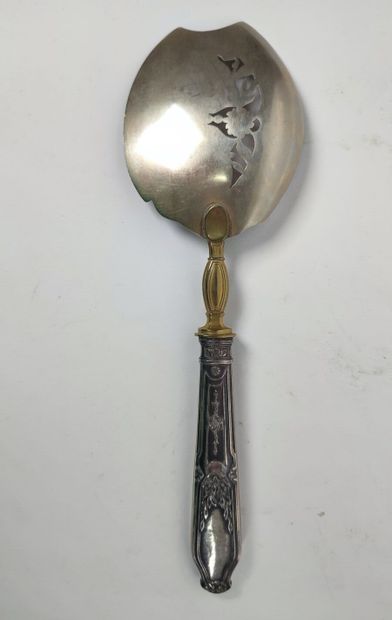 A silver pie server and ice cream scoop 
Minerve...