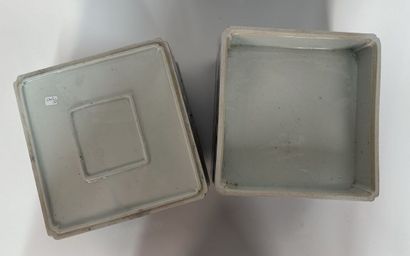 CHINA or Vietnam, early 20th century
Blue-white...
