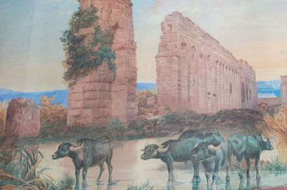 COSTANTINI, active in the 19th century
Bufflons...