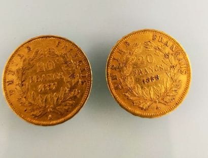 2 pieces of 20 Francs gold
(worn and rubbed)

Selling...