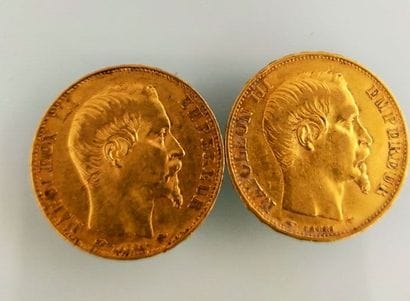 2 pieces of 20 Francs gold
(worn and rubbed)

Selling...