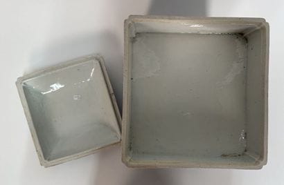 CHINA or Vietnam, early 20th century
Blue-white...