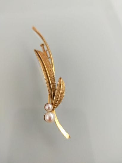 Brooch in 750 thousandth yellow gold with...