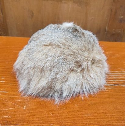 Set of furs including five toques and a shawl
Various...