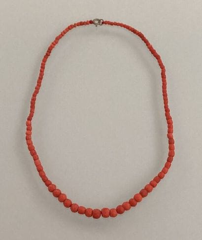 Lot orné de corail (réalisé en parties et...