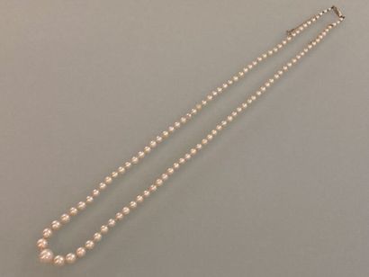 Collier de cent huit perles de culture en...