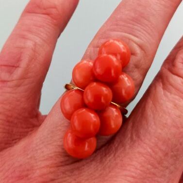 Coral set (Specimens made of red coral (Corallium...