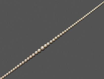 Collier de cent cinq perles fines et quatre...