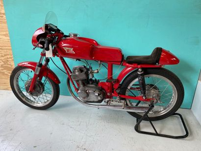 MOTO MORINI
Motorcycles
Corsaro Racing (square...