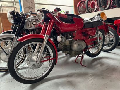 MOTOBI
Moto
Catria 
175 cc 
Horizontal single-cylinder...