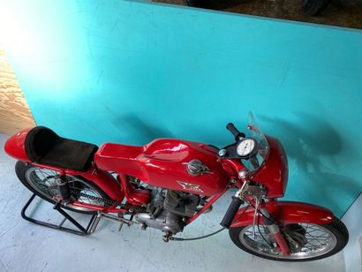 MOTO MORINI
Motorcycles
Corsaro Racing (square...