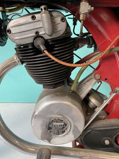 BENELLI
Motorcycle
Leoncino 
125 cc
4-stroke...