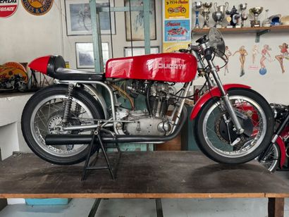 DUCATI
Moto
Sport Corsa Race
250 cc 51
4-stroke...