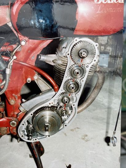 BENELLI
Motorcycle
Leoncino 
125 cc
4-stroke...