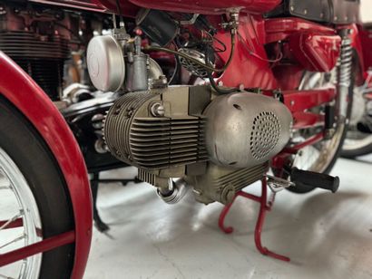 MOTOBI
Moto
Catria 
175 cc 
Horizontal single-cylinder...