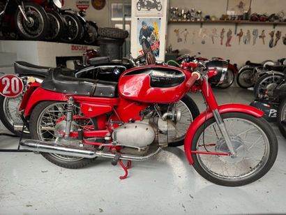 MOTOBI
Moto
Catria 
175 cc 
Horizontal single-cylinder...