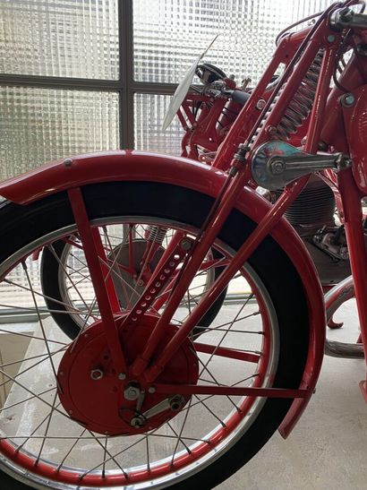 FUSI
Motorcycle
Racing
250 cc
M Sport
Vertical...