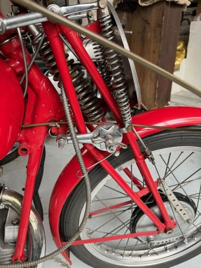 BENELLI
Motorcycle
TSS 
250cc race
4-stroke...
