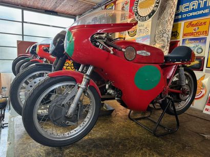 AERMACHI
Motorcycle
Ala d'Oro
250 cc
4-stroke...