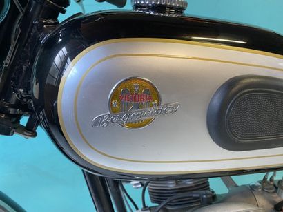 VICTORIA BERGMEISTER
Motorcycle
350 cc
Road-facing...