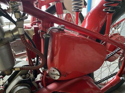 FUSI
Motorcycle
Racing
250 cc
M Sport
Vertical...