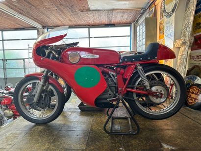 AERMACHI
Motorcycle
Ala d'Oro
250 cc
4-stroke...