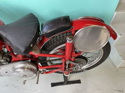 BENELLI
Motorcycle
TSS 
250cc race
4-stroke...