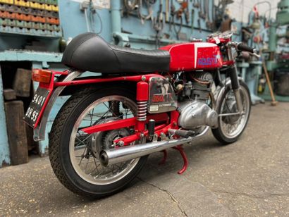 MV AGUSTA
Moto
Sport Elettronica
350 cc
4-stroke...