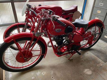 FUSI
Motorcycle
Racing
250 cc
M Sport
Vertical...