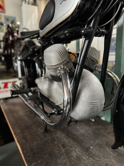 VICTORIA BERGMEISTER
Motorcycle
350 cc
Road-facing...