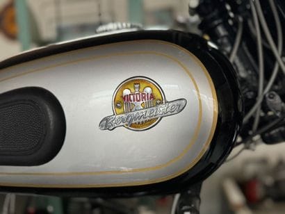 VICTORIA BERGMEISTER
Motorcycle
350 cc
Road-facing...
