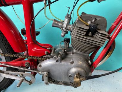MOTO MORINI
Motorcycles
Corsaro Racing (square...