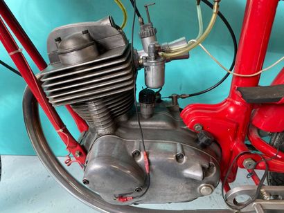 MOTO MORINI
Motorcycles
Corsaro Racing (square...