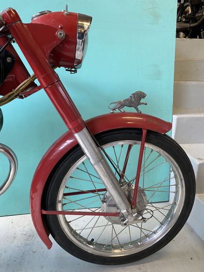 BENELLI
Motorcycle
Leoncino 
125 cc
4-stroke...