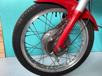 MOTO MORINI
Motorcycles
Corsaro Racing (square...