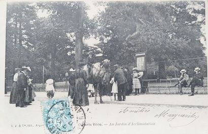 1 lot
Paris Vécu (69 CP)including Arroseur...