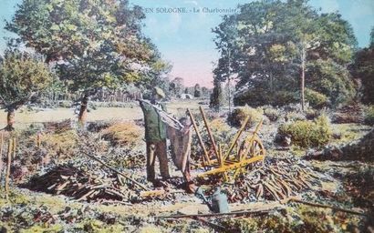 1 Album
Selection of good regionalism cards...