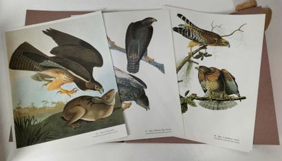 Jean Jacques Aubudon 
Editions Citadelles...