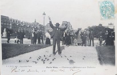 1 lot
Paris Vécu (69 CP)including Arroseur...
